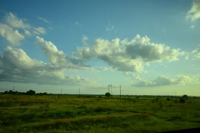 DSC_7819 (Large).JPG